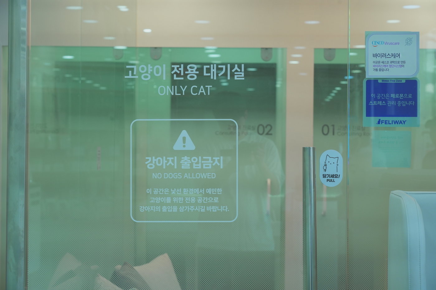 본문 이미지 - 고양이 친화병원 골드 레벨 인증을 받으려면 고양이 전용 대기실, 입원실, 처치실 등을 마련해야 한다. (동물병원 제공) ⓒ 뉴스1