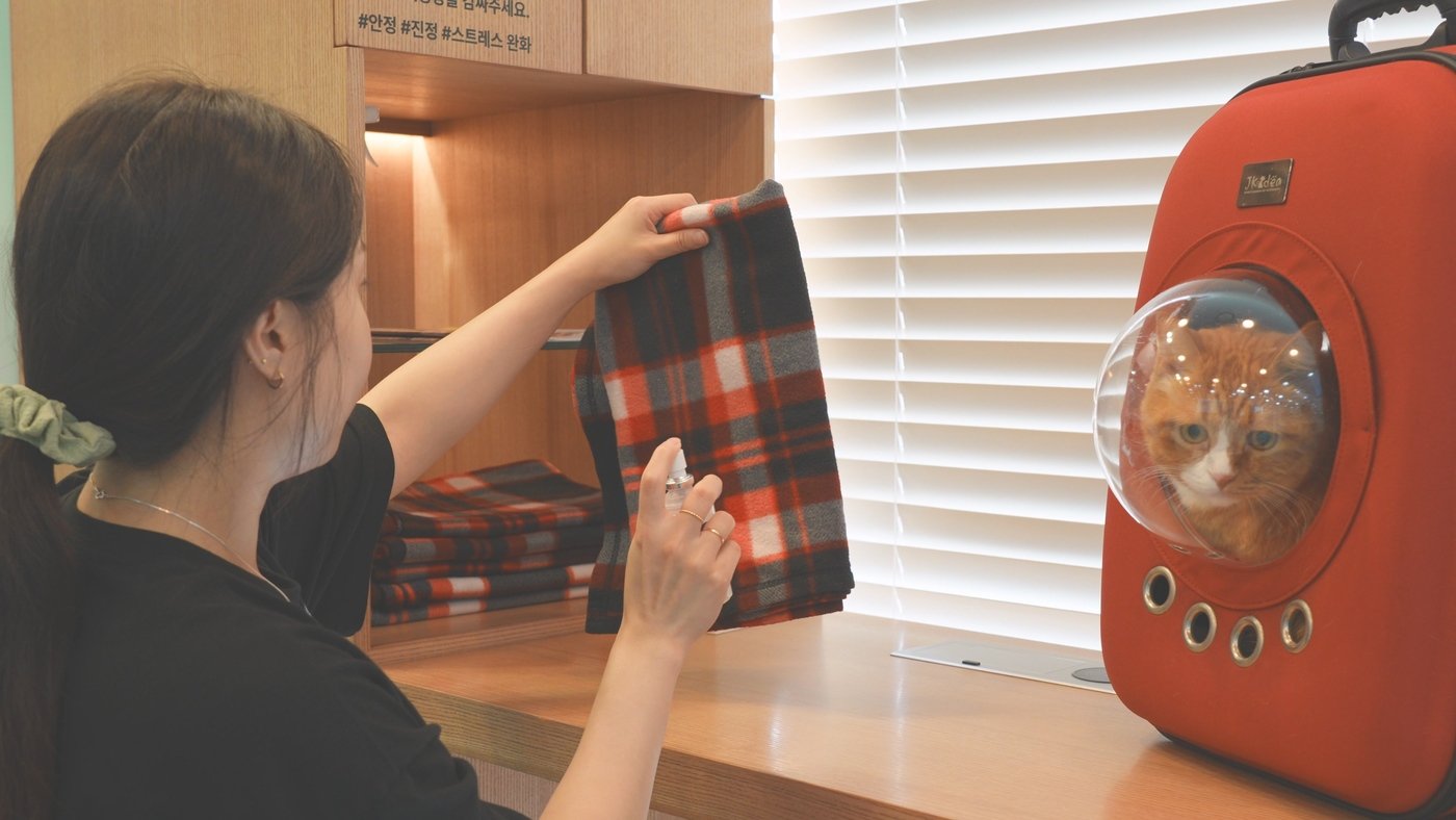 본문 이미지 - 보호자가 대기실에 구비된 페로몬 스프레이를 사용하고 있다. (동물병원 제공) ⓒ 뉴스1