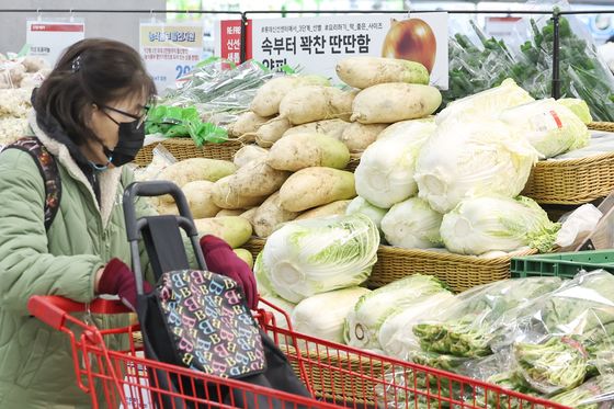 겨울 배추·무, 작년보다 1.5~2배 비싸…"가을 늦더위 영향"