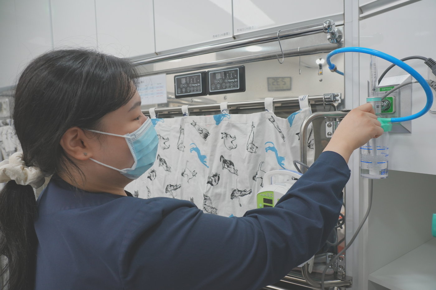 본문 이미지 - 입원실에는 산소 시스템으로 쾌적한 환경을 제공하고, 반려묘의 스트레스 방지 암막 커튼이 마련돼 있다. (동물병원 제공) ⓒ 뉴스1