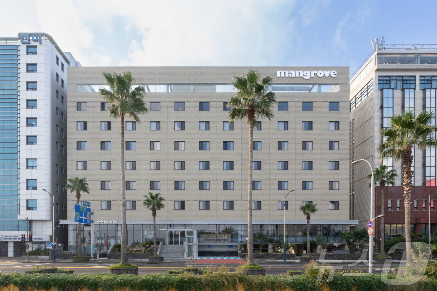 본문 이미지 - 제주시 탑동로에 문을 연 맹그로브 제주시티.(엠지알브이 제공)