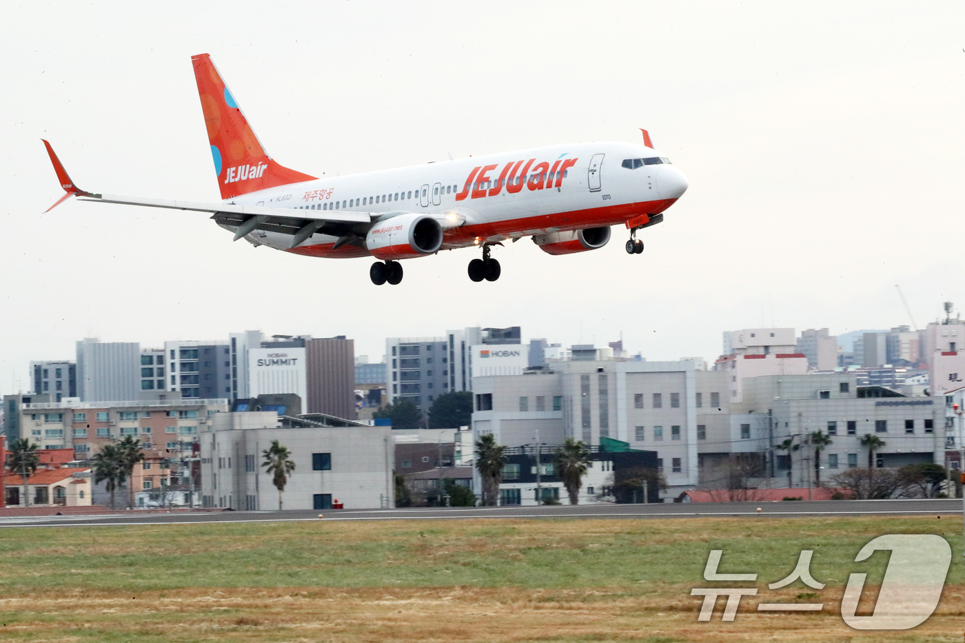 (제주=뉴스1) 오현지 기자 = 무안국제공항 제주항공 참사 이틀째인 30일 오전 제주국제공항에서 제주항공 여객기가 착륙하고 있다. 2024.12.30/뉴스1