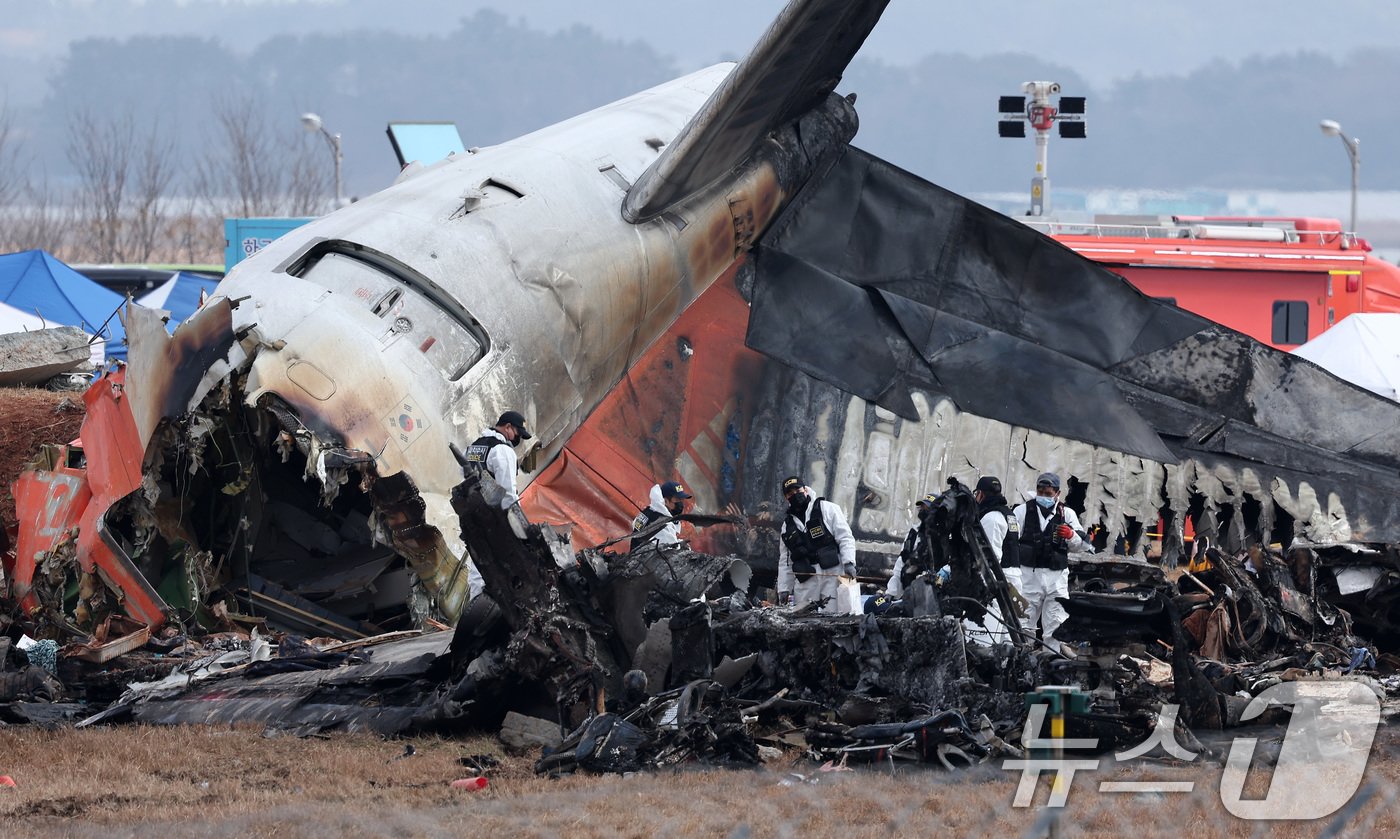 본문 이미지 - 30일 오전 전남 무안국제공항에서 과학수사 경찰들이 전날 발생한 제주항공 여객기 충돌 폭발 사고 잔해를 수색하고 있다. 2024.12.30/뉴스1 ⓒ News1 김성진 기자