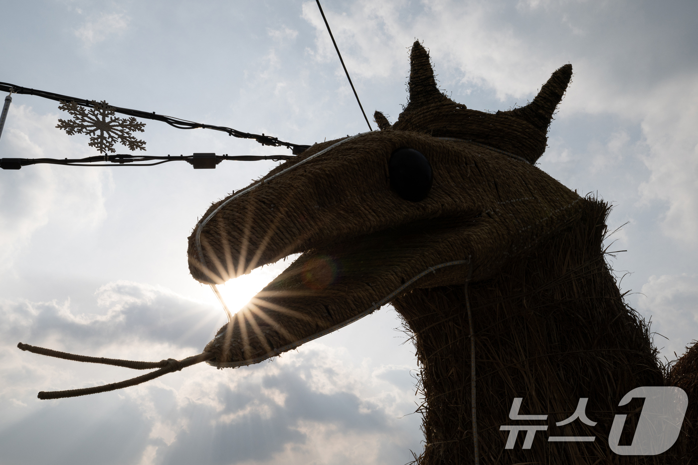 (서울=뉴스1) 이승배 기자 = ‘푸른 뱀의 해’인 을사년(乙巳年) 새해를 앞둔 30일 오후 서울 마포구 월드컵공원에 2025 맞이 억새뱀 조형물이 설치돼 있다. 2024.12.3 …