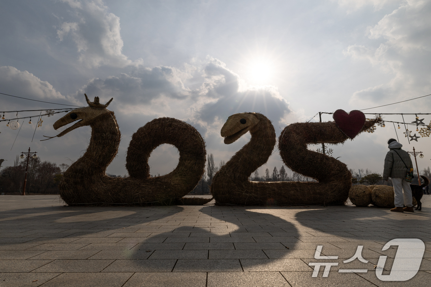 (서울=뉴스1) 이승배 기자 = ‘푸른 뱀의 해’인 을사년(乙巳年) 새해를 앞둔 30일 오후 서울 마포구 월드컵공원에 2025 맞이 억새뱀 부부 조형물이 설치돼 있다. 2024.1 …