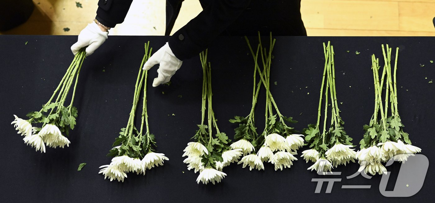 본문 이미지 - 30일 오후 전남 무안종합스포츠파크에 마련된 제주항공 여객기 희생자 합동분향소에서 관계자가 조화를 정리하고 있다. (공동취재) 2024.12.30/뉴스1 ⓒ News1 김민지 기자