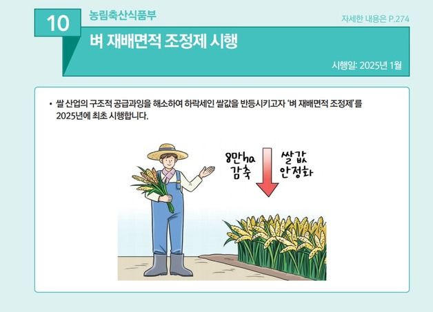 "쌀 과잉생산 막는다"…내년 벼 재배면적 8만ha 감축