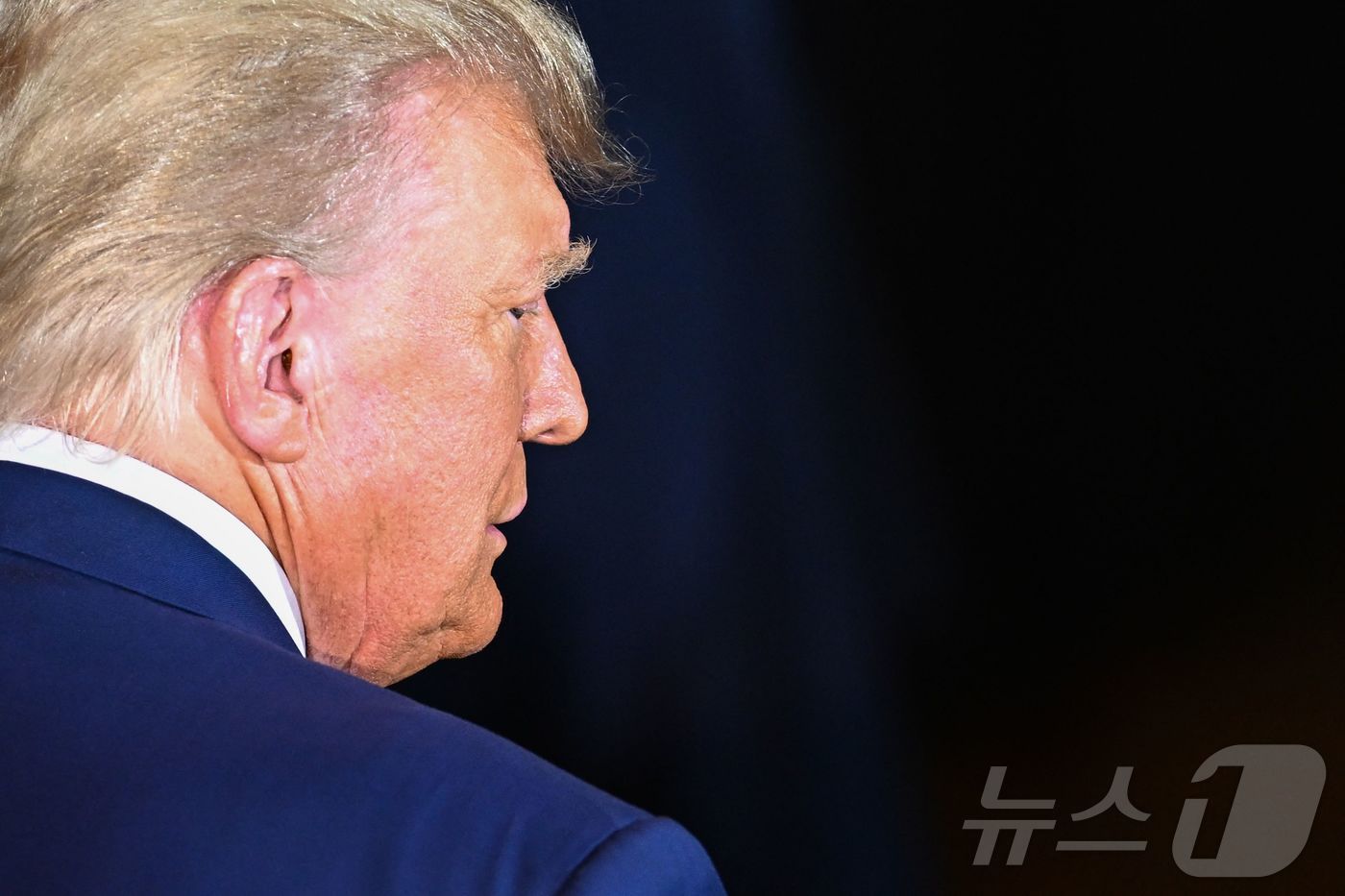 본문 이미지 - 도널드 트럼프 미국 대통령 당선인 &#40;자료사진&#41; ⓒ AFP=뉴스1