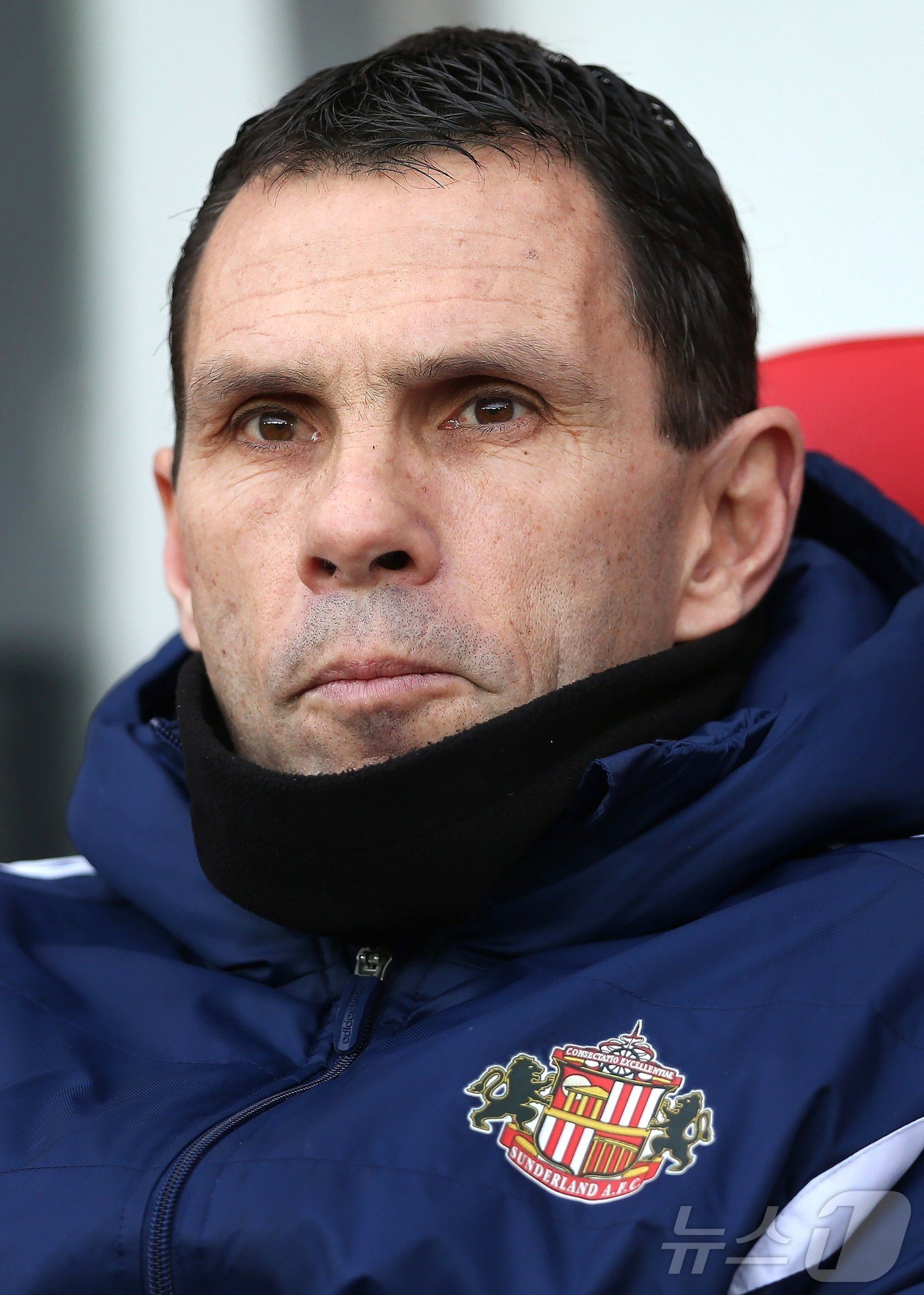 본문 이미지 - 거스 포옛 감독은 2013년 10월부터 2015년 3월까지 선덜랜드를 이끌었다. ⓒ AFP=뉴스1