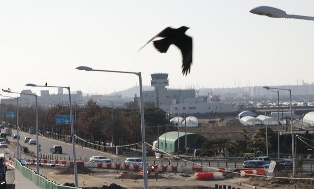 '새떼·활주로·안전거리'…위험요소 다 갖춘 울산공항 괜찮나