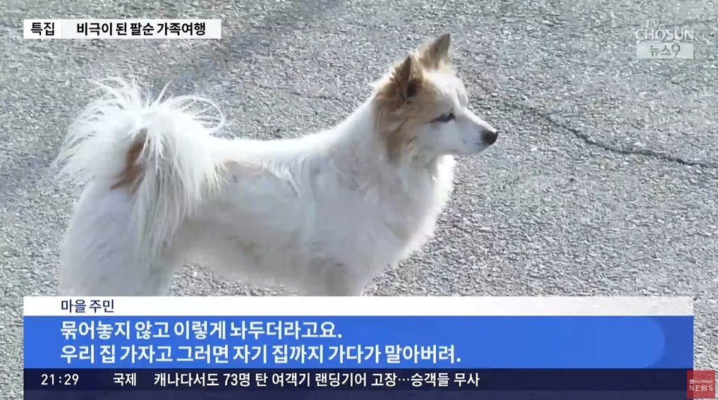 본문 이미지 - &#40;TV조선 갈무리&#41;