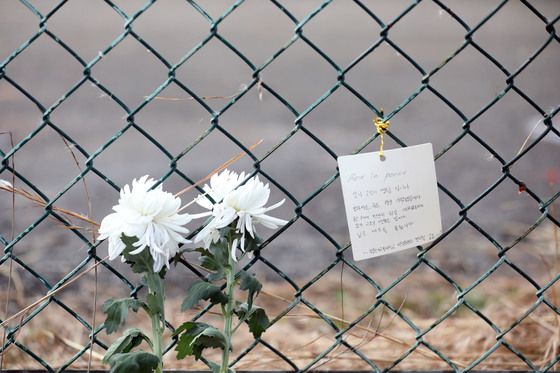 영정사진에 "네가 왜 거기 있어" 눈물바다…무안공항 '통곡의 밤'