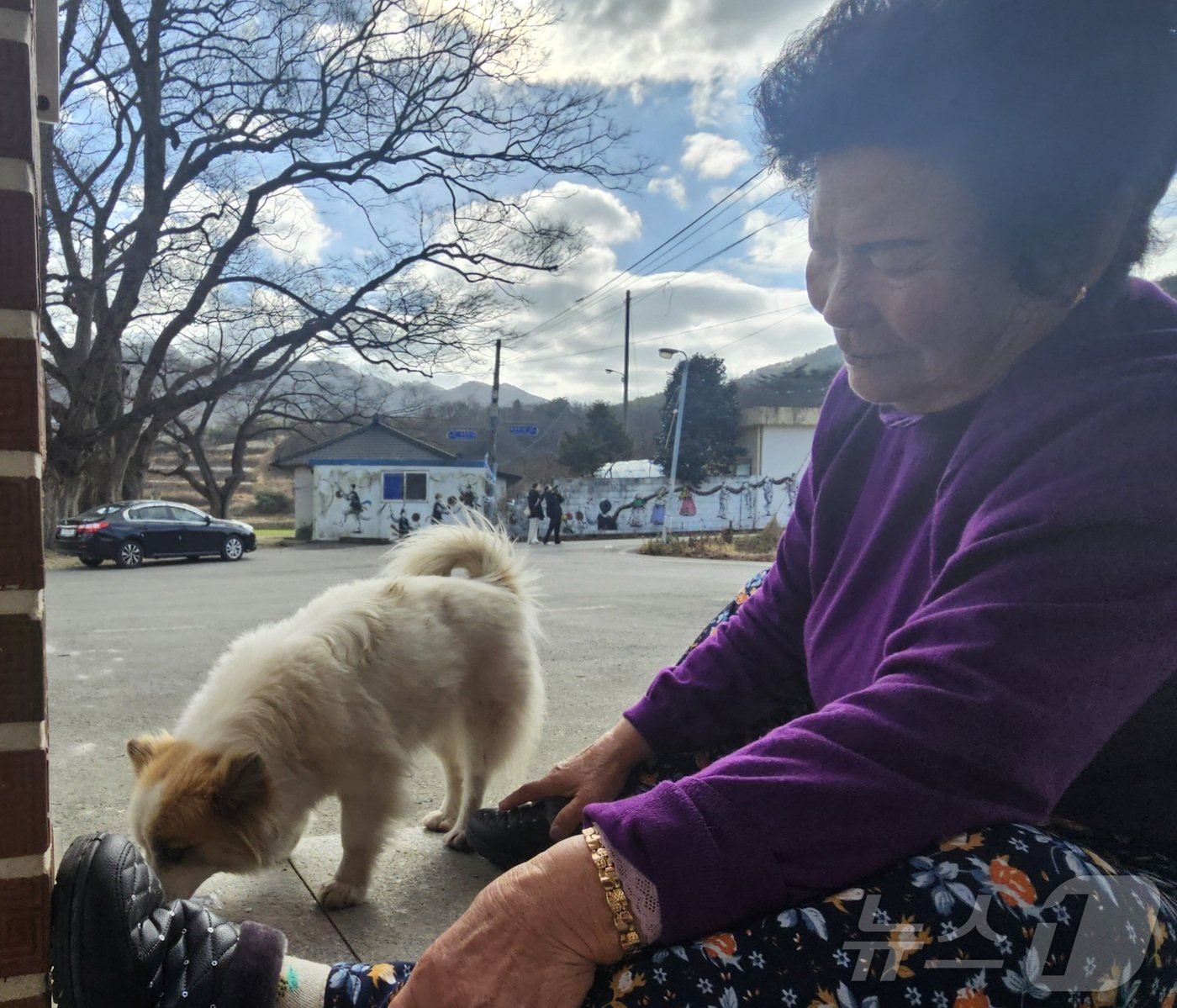 본문 이미지 - 31일 전남 영광 군남면 용암마을 경로당에서 마을 주민 서숙자씨가 제주항공 참사로 6살배기 주인을 잃은 반려견 ‘푸딩’에 밥을 주고 있다.2024.12.31/뉴스1 ⓒ News1 서충섭 기자