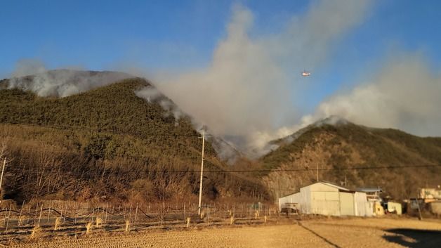 대구 군위군 야산서 불 '대응 1단계' 발령…현재 피해 면적 10㏊