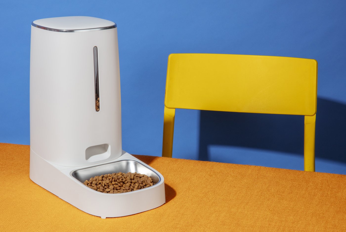 본문 이미지 - 왕태미 수의사는 정해진 시간에 사료를 줄 수 없다면 자동급식기 사용을 추천했다. 반려견이 먹는 양을 확인할 수 있는 장점이 있다.(사진 프리픽) ⓒ 뉴스1