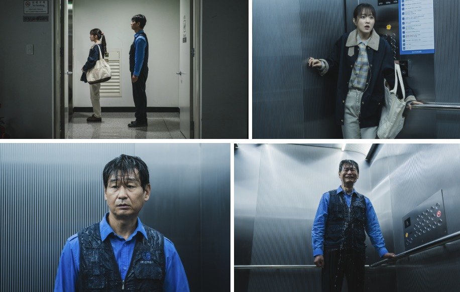 본문 이미지 - 디즈니+ 조명가게