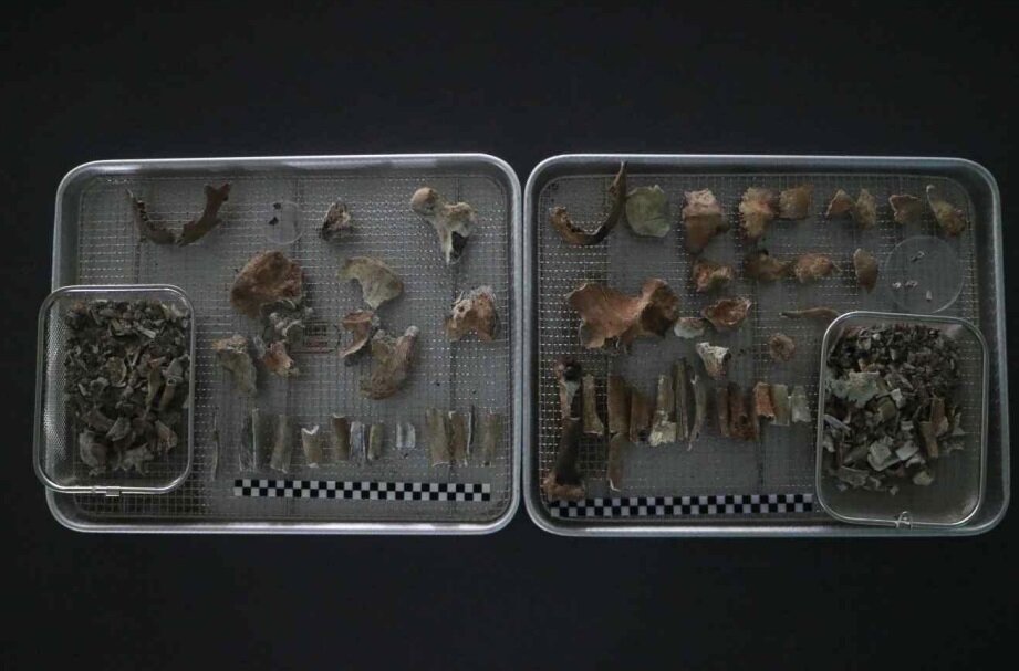 본문 이미지 - 고&#40;故&#41; 이형갑 일등중사의 화장유해.&#40;국유단 제공&#41;