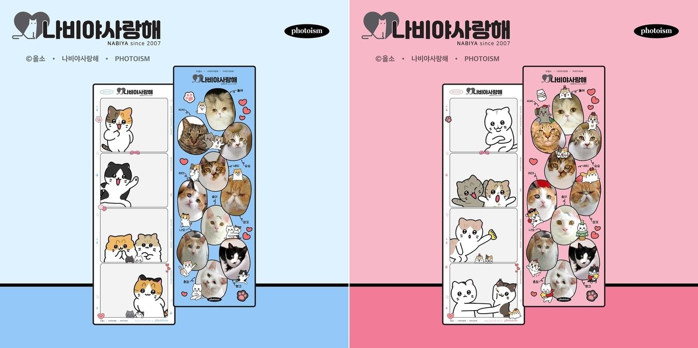 본문 이미지 - 포토부스 브랜드 포토이즘이 고양이보호단체 나비야 사랑해, 올소 작가와 협업해 보호소 고양이들이 캐릭터로 삽입된 프레임을 최근 출시했다. (나비야사랑해 제공) ⓒ 뉴스1