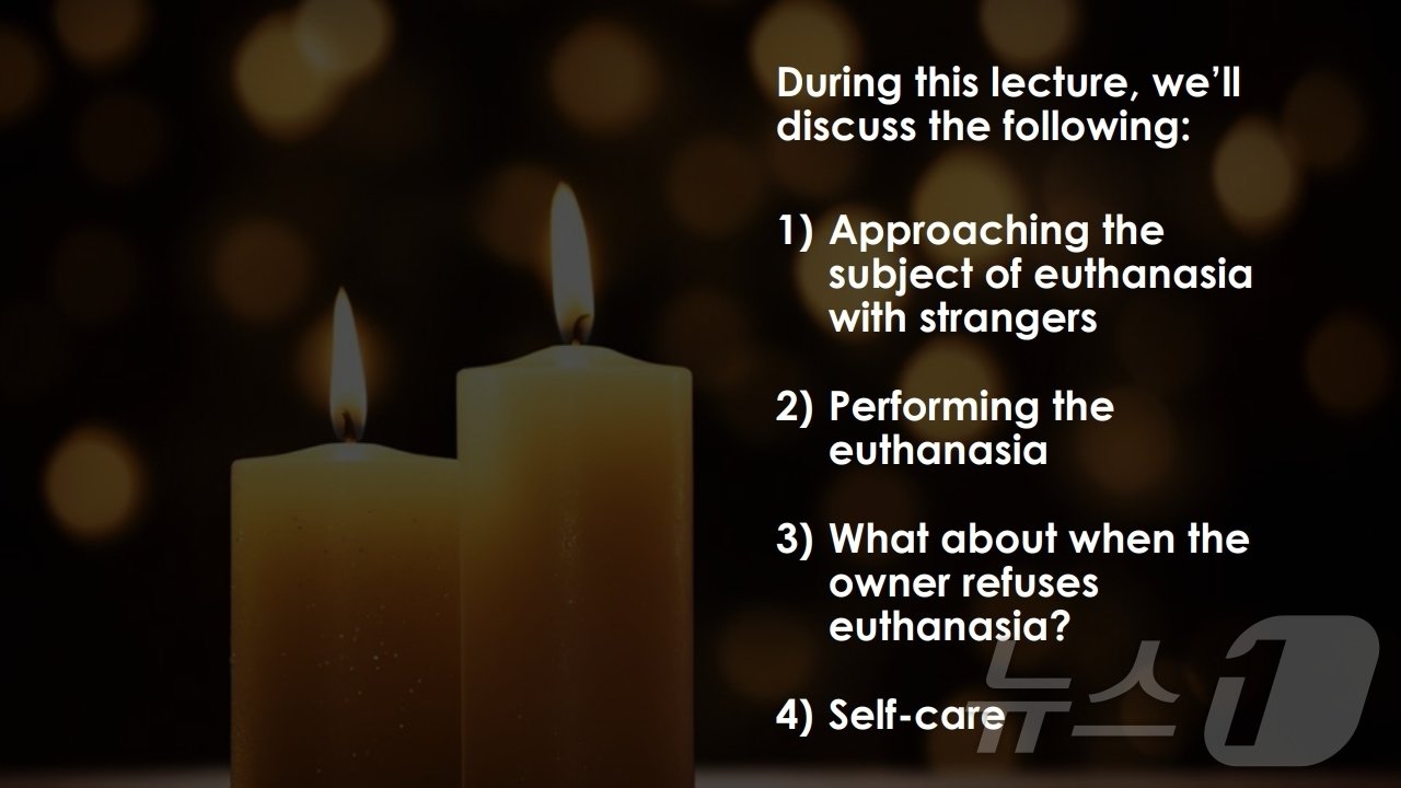 본문 이미지 - 킴 힐러스 영상 강의 갈무리(아이해듀 제공) ⓒ 뉴스1