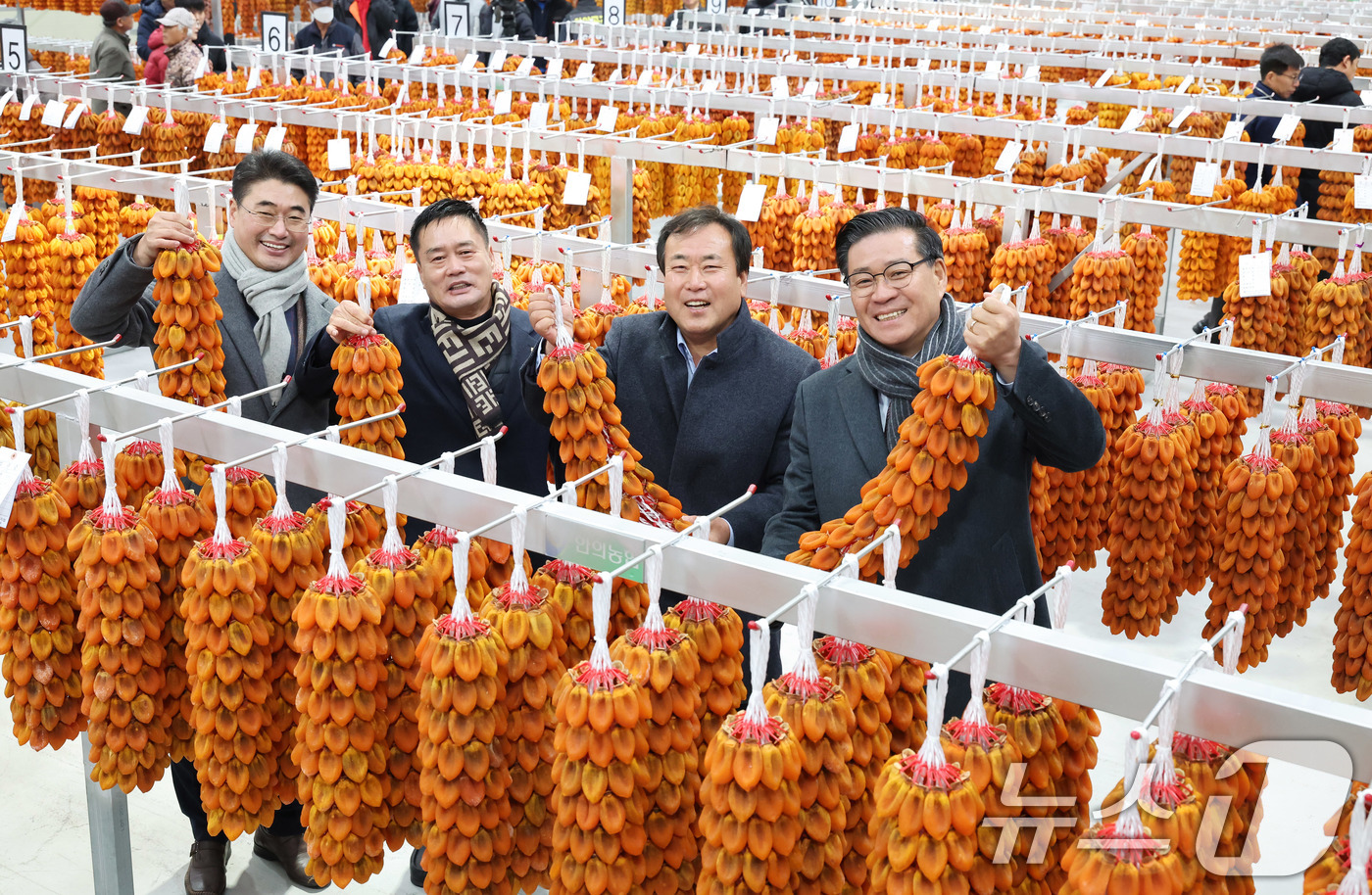 (서울=뉴스1) = 진병영 함양군수가 5일 경남 함양군 서하면 곶감 경매장에서 열린 지리산 함양 곶감 초매식에서 곶감을 들어보이고 있다.지리적표시 등록 임산물 지정 제39호인 함양 …