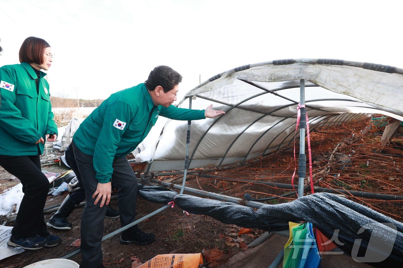 본문 이미지 - 이상일 시장이 폭설 피해 농장에서 피해 상황을 확인하고 있는 모습.&#40;용인시 제공&#41;