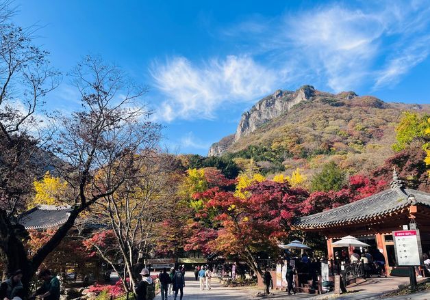 "추석 연휴 어디로 갈까" 전남광주특별시 추천 여행지 10곳