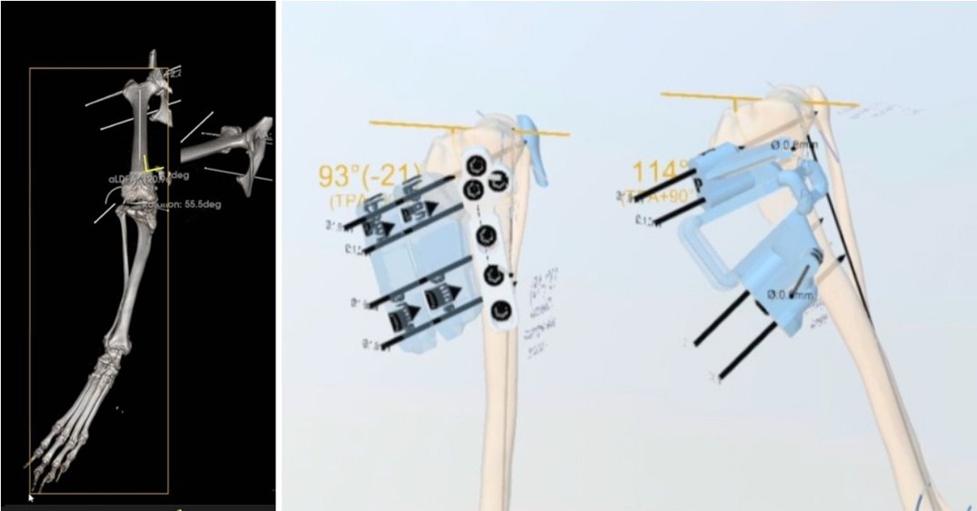본문 이미지 - 안승엽 VIP동물의료센터 원장은 가을이의 다리 CT&#40;컴퓨터단층촬영&#41; 사진을 3차원으로 재구성하고, 3D프린팅을 이용해 정확한 수술을 위한 설계를 진행했다. &#40;동물병원 제공&#41;ⓒ 뉴스1