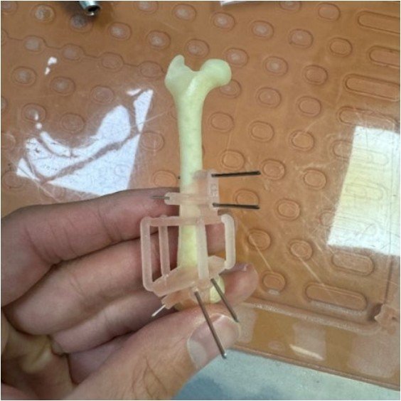 본문 이미지 - 제작된 수술 가이드 도구를 이용해 시연하는 모습&#40;동물병원 제공&#41;ⓒ 뉴스1