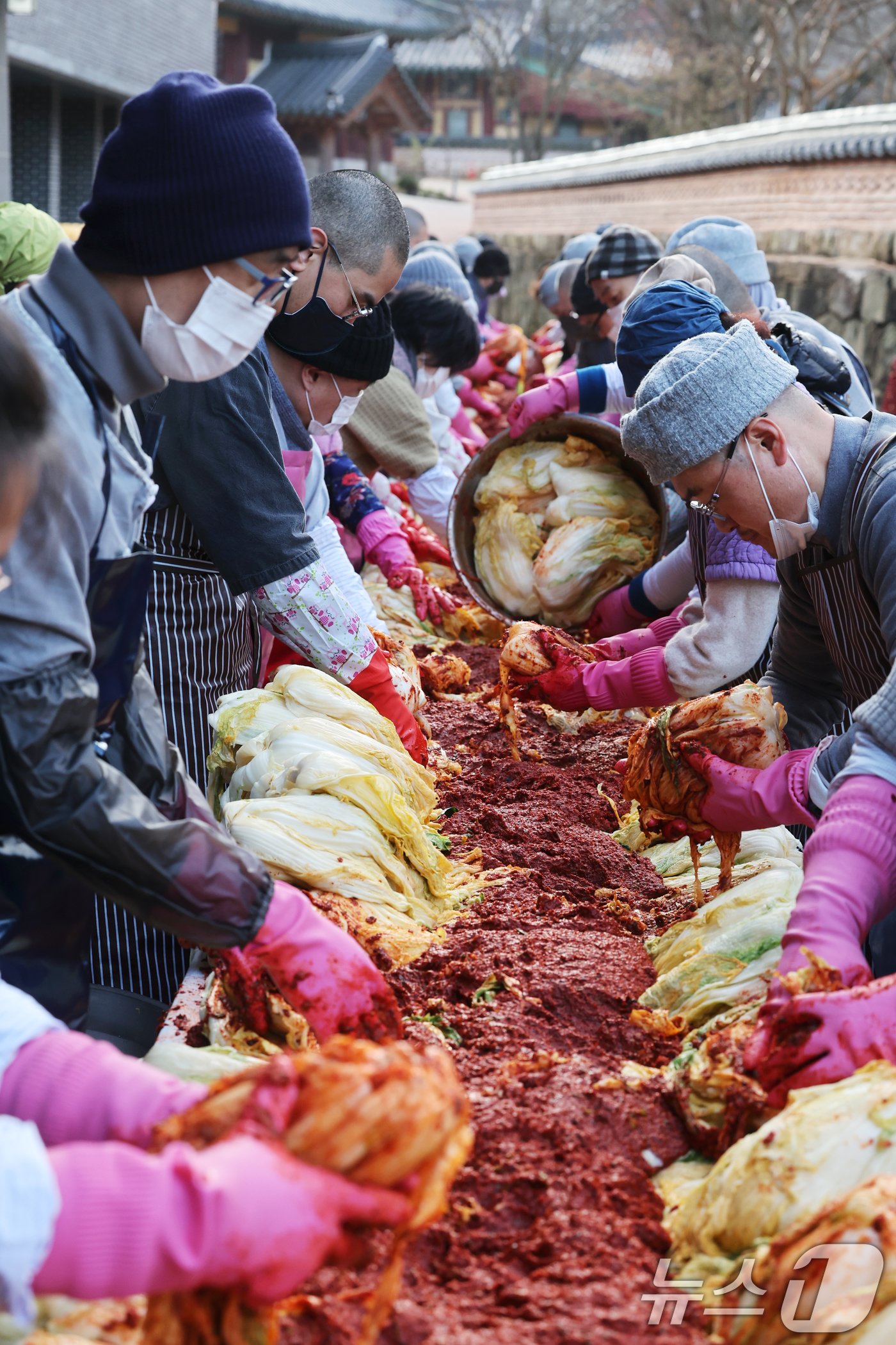 6일 전남 순천 송광사에서 수자 현묵스님과 70여명의 스님들이 김장을 하고 있다. 1600포기가 두시간에 걸쳐 버무리기를 마쳤다. 2024.12.6/뉴스1 ⓒ News1 김태성 기자