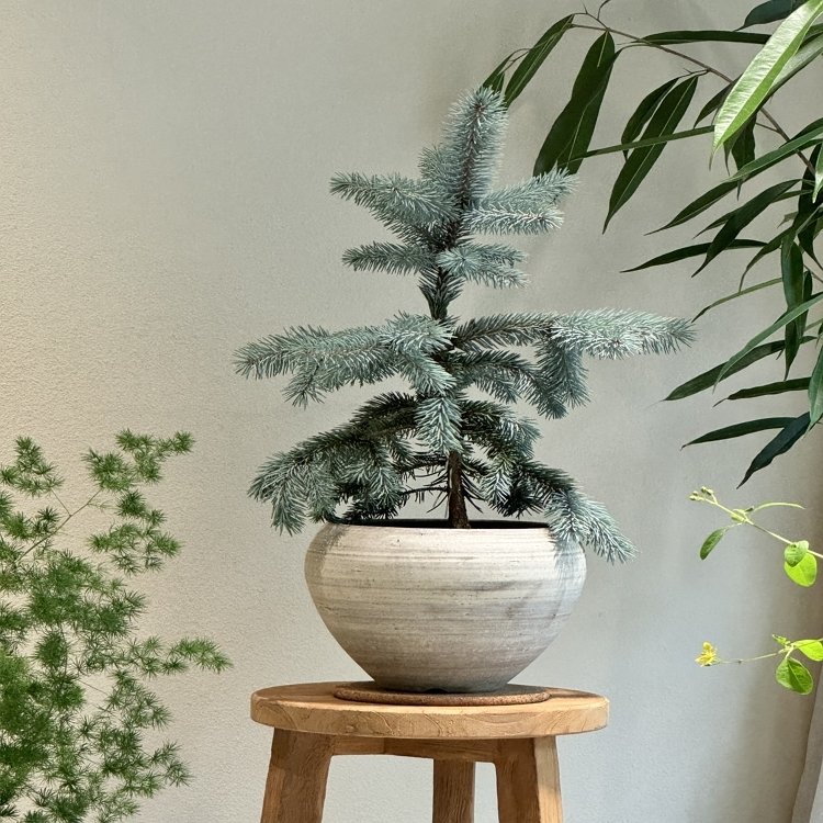 본문 이미지 - 현대백화점 무역센터점 리플렉티브 팝업(현대백화점 제공)