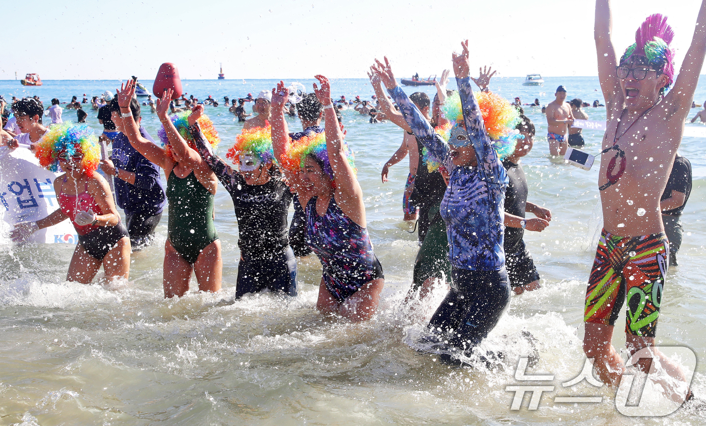 (부산=뉴스1) 윤일지 기자 = 8일 부산 해운대해수욕장에서 열린 제37회 해운대 북극곰축제에서 참가자들이 차가운 겨울 바다에 뛰어들고 있다. 2024.12.8/뉴스1