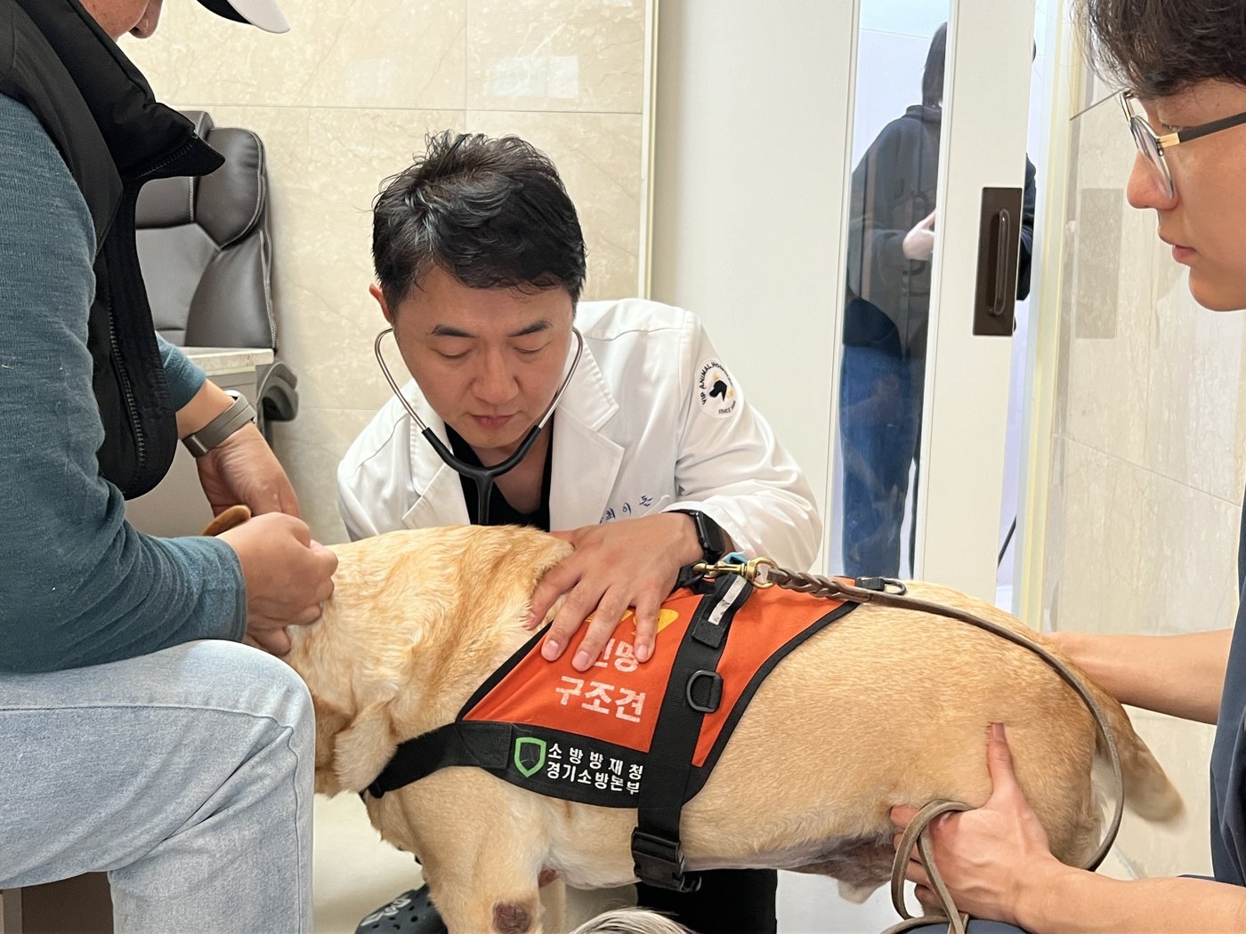 본문 이미지 - 최이돈 VIP동물의료센터 대표원장이 은퇴한 인명구조견의 건강검진을 진행하고 있다. &#40;동물병원 제공&#41; ⓒ 뉴스1