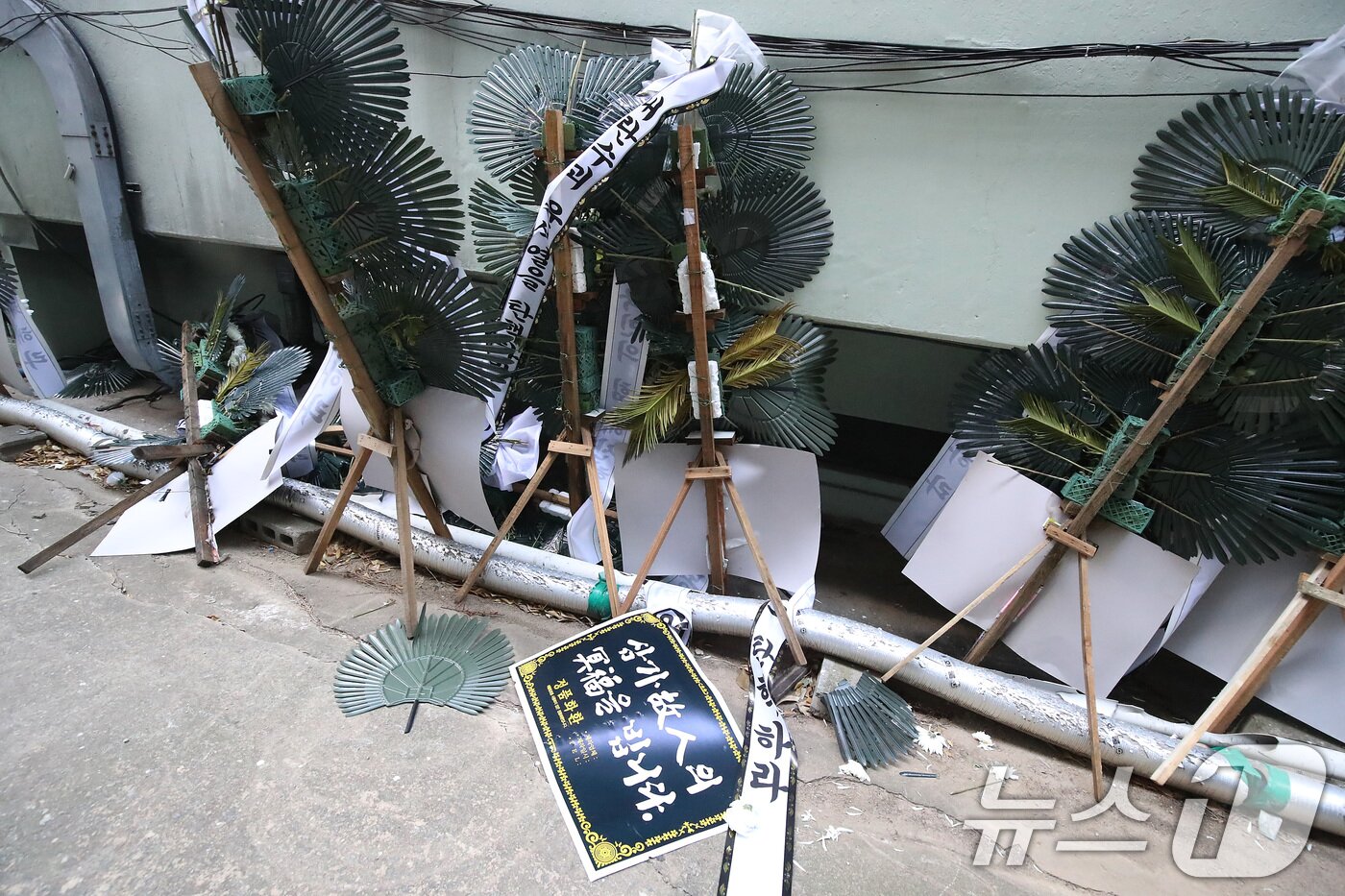 본문 이미지 - 9일 오전 대구 수성구 범어동 국민의힘 대구경북 당사로 시민들로부터 배달된 탄핵 표결을 거부한 국민의힘을 규탄하는 내용의 근조(謹弔) 화환 10여 개가 건물 뒤편에 치워져 있다. 2024.12.9/뉴스1 ⓒ News1 공정식 기자