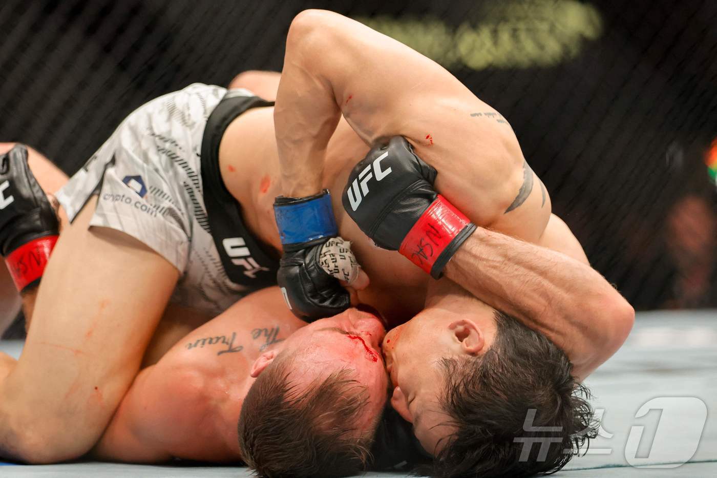 본문 이미지 - 최두호가 랜드웨어와 경기를 펼치고 있다.ⓒ AFP=뉴스1