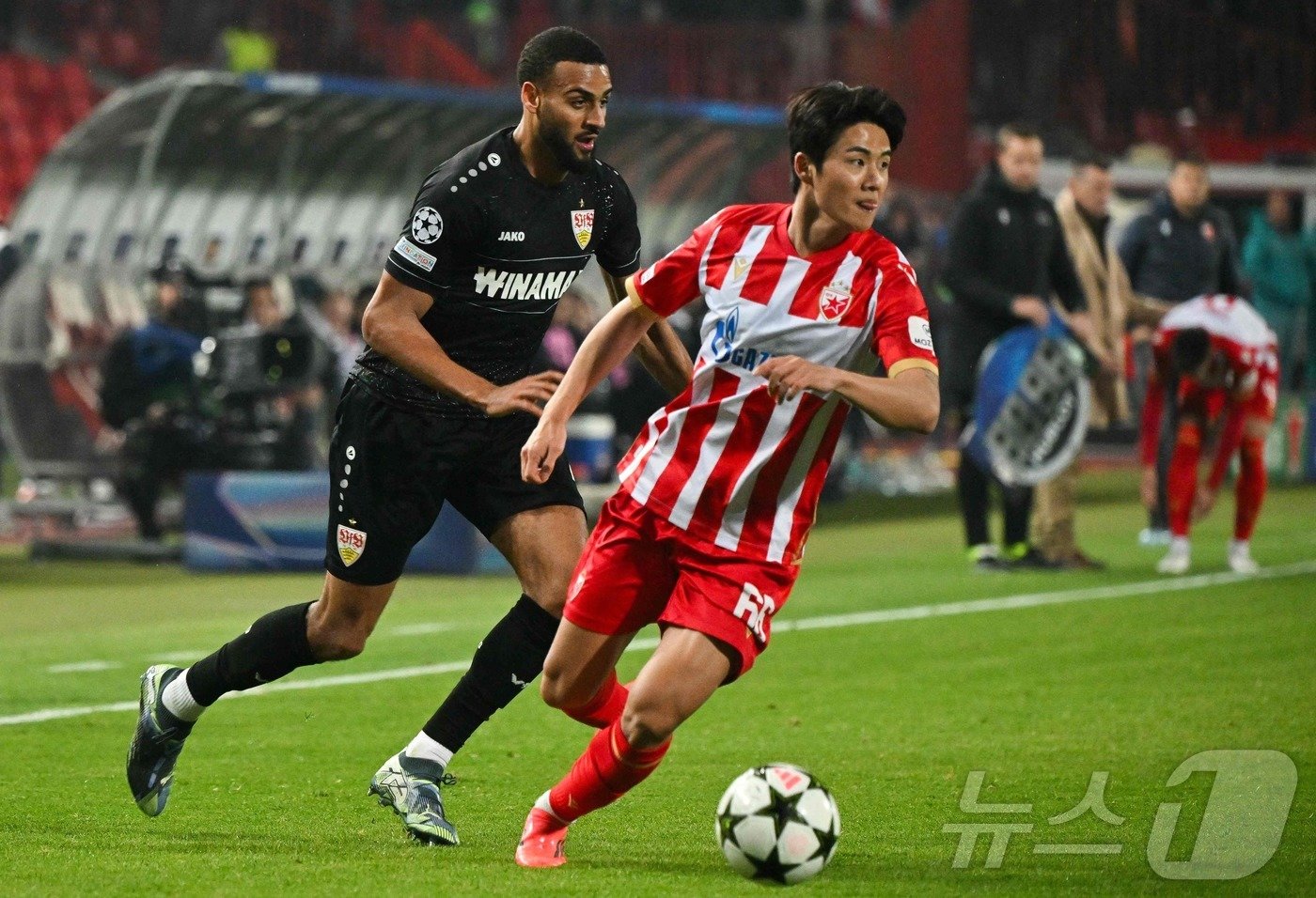 본문 이미지 - 설영우의 소속팀 츠르베나 즈베즈다는 2024-25 UCL 리그 페이즈 5차전에서 슈투트가르트를 5-1로 완파, 4연패 뒤 첫 승을 따냈다. ⓒ AFP=뉴스1