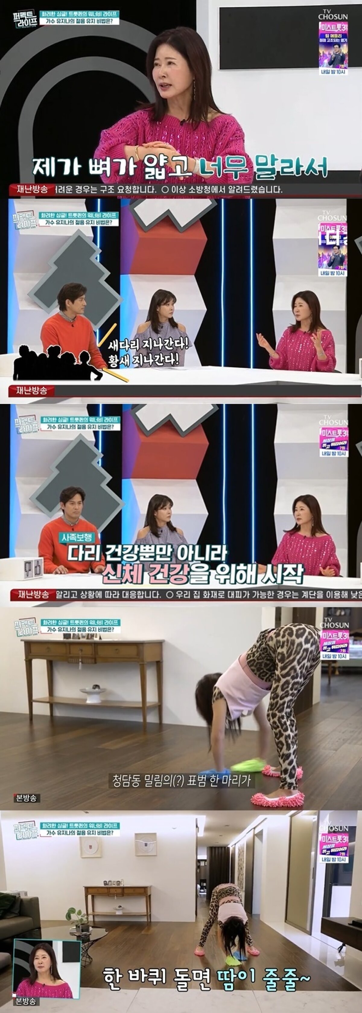 (TV조선 '퍼펙트라이프' 갈무리)