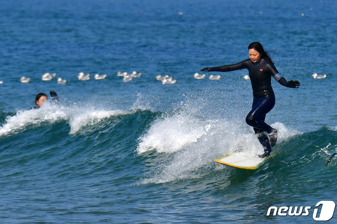 (포항=뉴스1) 최창호 기자 = 설 연휴 마지막 날인 12일 경북 포항시 북구 흥해읍 용한리 해수욕장에서 서퍼들이 파도를 즐기고 있다. 2024.2.12/뉴스1
