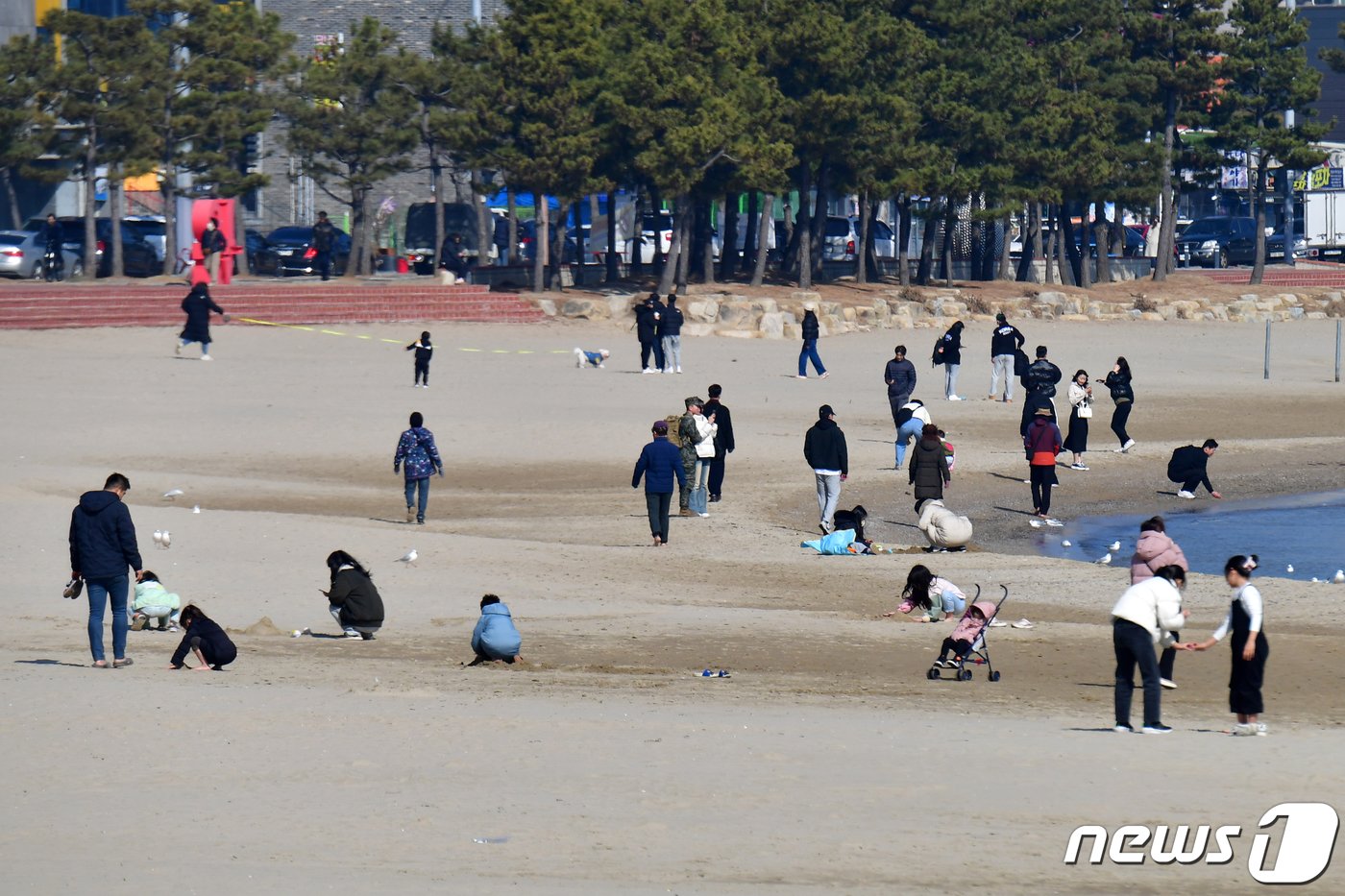 설 연휴 마지막 날인 12일 경북 포항시 북구 영일대해수욕장에서 어린들이 모래놀이를 하고 있다. 2024.2.12/뉴스1 ⓒ News1 최창호 기자