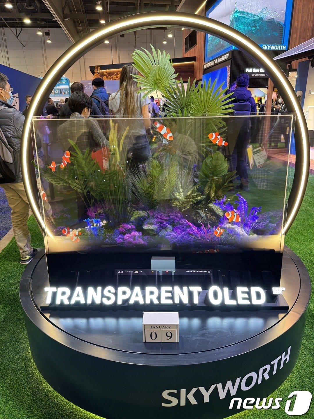 본문 이미지 -  미국 라스베이거스에서 열린 세계 최대 가전·정보기술(IT) 박람회 'CES 2024'에 전시된 스카이워스 65형 투명 올레드 TV. 2024.1.10 / 뉴스1 ⓒ News1 강태우 기자