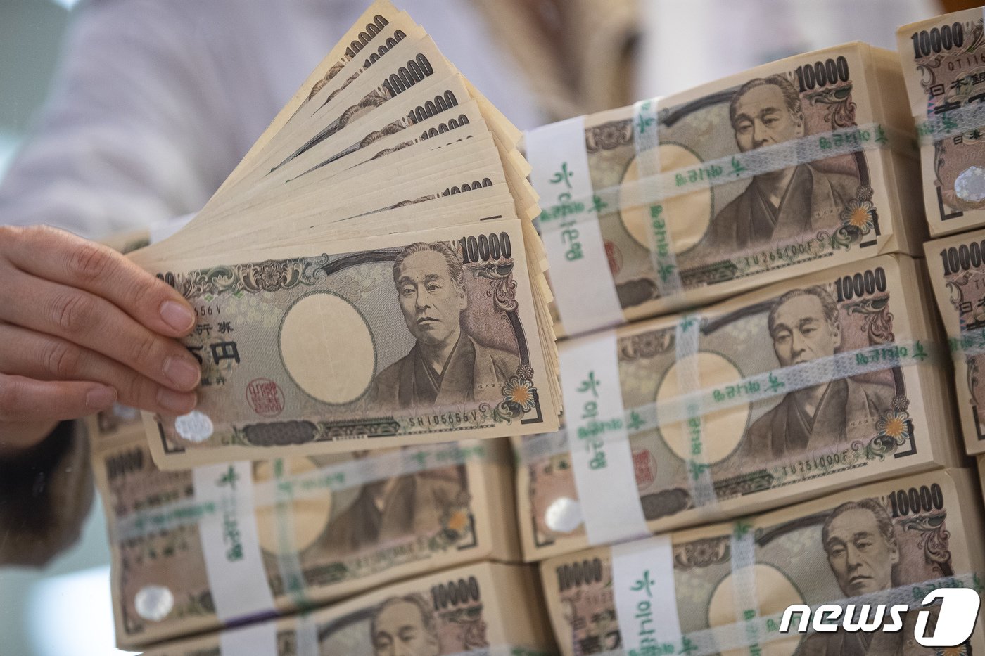 본문 이미지 - 뉴스1 ⓒ News1 유승관 기자