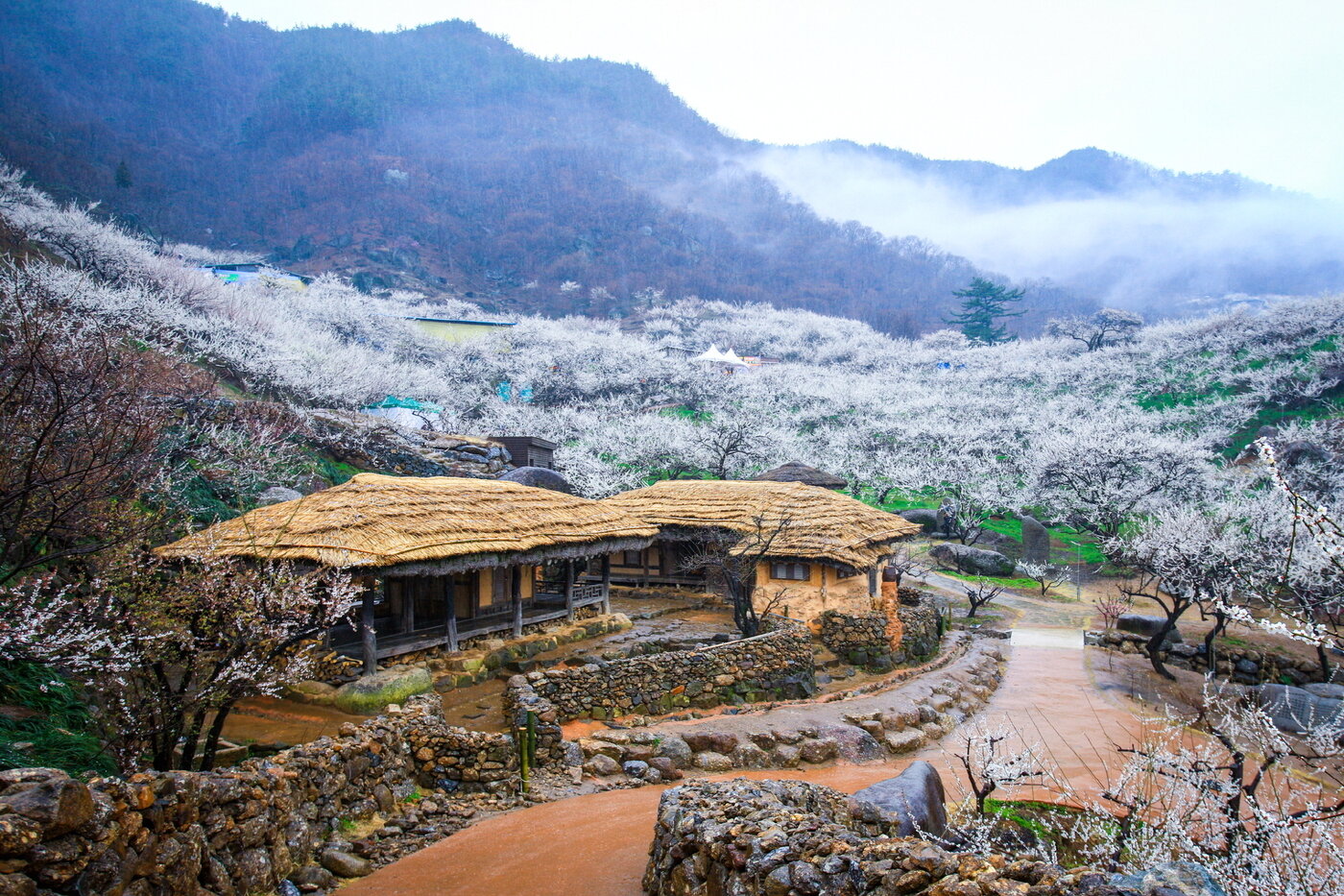 본문 이미지 - &#40;GS샵 제공&#41;