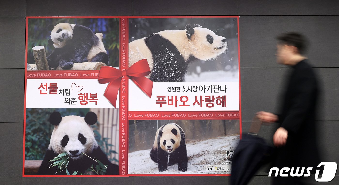 15일 서울 홍대입구역 공항철도 경의선 방향 통로에 푸바오 사진과 함께 &#34;선물처럼 와준 행복, 영원한 첫사랑 아기판다 푸바오 사랑해＂라는 문구가 적혀 있다.. 2024.2.15/뉴스1 ⓒ News1 박지혜 기자