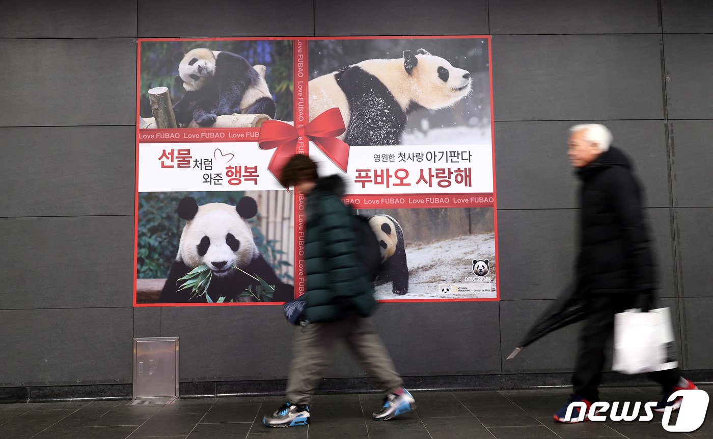 15일 서울 홍대입구역 공항철도 경의선 방향 통로에 푸바오 사진과 함께 &#34;선물처럼 와준 행복, 영원한 첫사랑 아기판다 푸바오 사랑해＂라는 문구가 적혀 있다. 전국민의 사랑을 받아온 판다 푸바오가 오는 4월 중국으로 떠나는 것을 아쉬워하는 팬들이 푸바오에게 &#39;지하철 광고&#39;를 선물했다. 해당 광고는 내달 13일까지 게시된다. 이 광고는 온라인 커뮤니티 디씨인사이드 푸바오갤러리 운영진이 팬들과 비용을 모금해 진행됐다. 2024.2.15/뉴스1 ⓒ News1 박지혜 기자