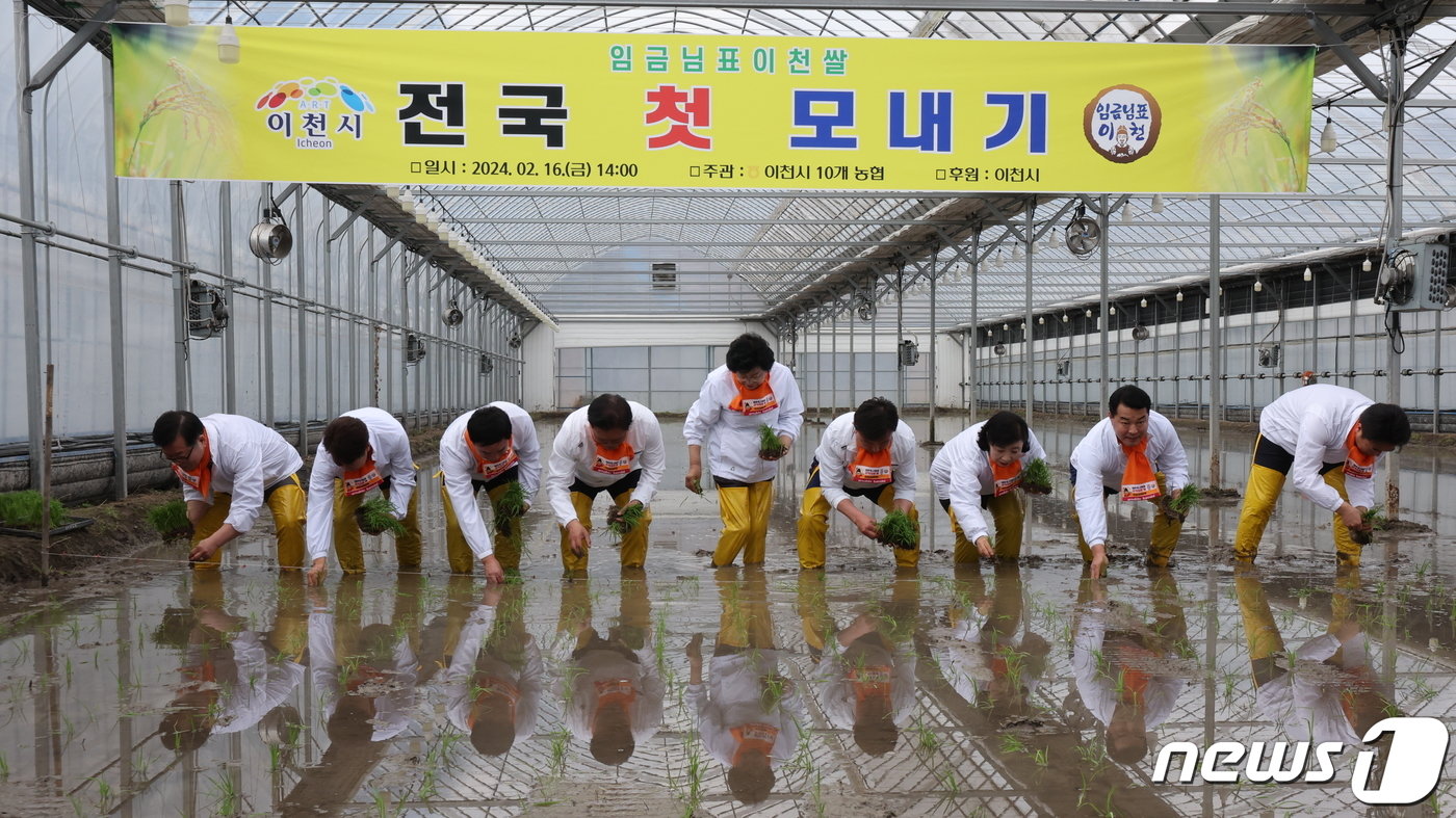 본문 이미지 - 16일 오후 경기도 이천시 호법면의 벼 재배 하우스에서 지역 농부들과 이천시 관계자들이 올해 첫 모내기를 하고 있다. 2024.2.16/뉴스1 ⓒ News1 이동해 기자