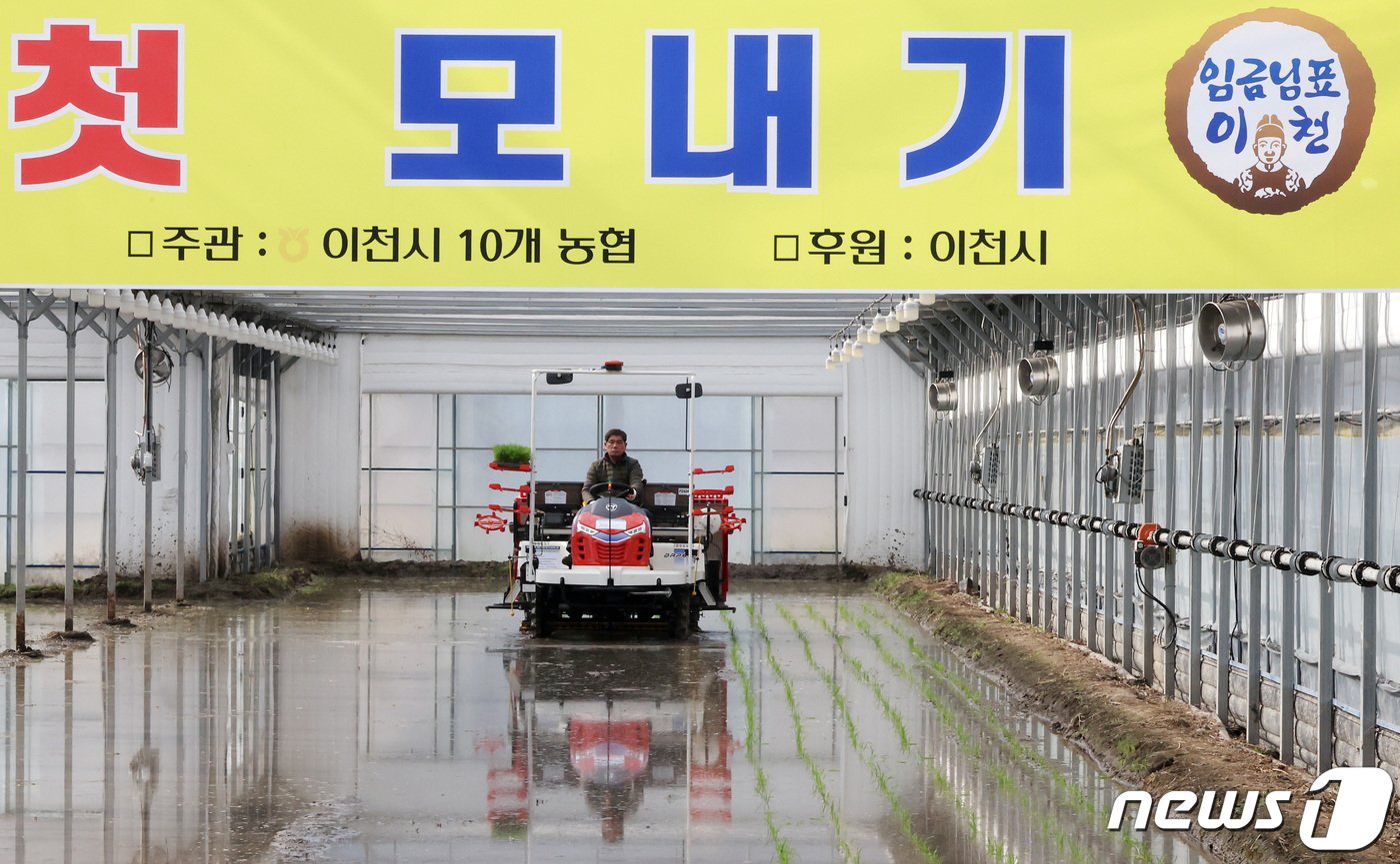 본문 이미지 - 16일 오후 경기도 이천시 호법면의 한 비닐하우스에서 관계자가 이앙기를 이용해 올해 전국 첫 모내기 작업을 하고 있다. 2024.2.16/뉴스1 ⓒ News1 이동해 기자