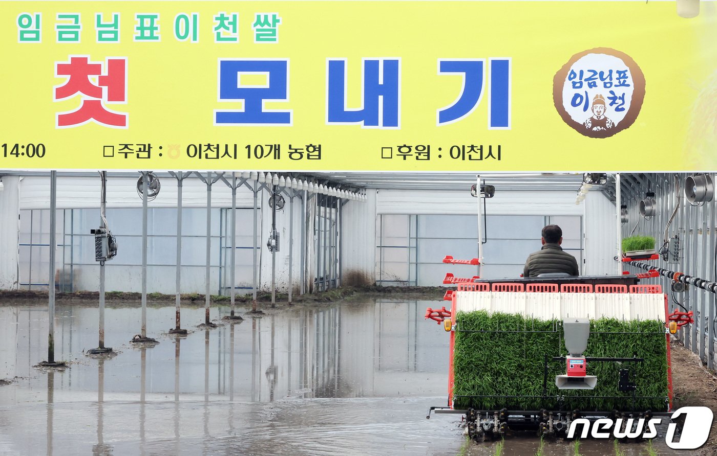 본문 이미지 - 16일 오후 경기도 이천시 호법면의 한 비닐하우스에서 관계자가 이앙기를 이용해 올해 전국 첫 모내기 작업을 하고 있다. 2024.2.16/뉴스1 ⓒ News1 이동해 기자