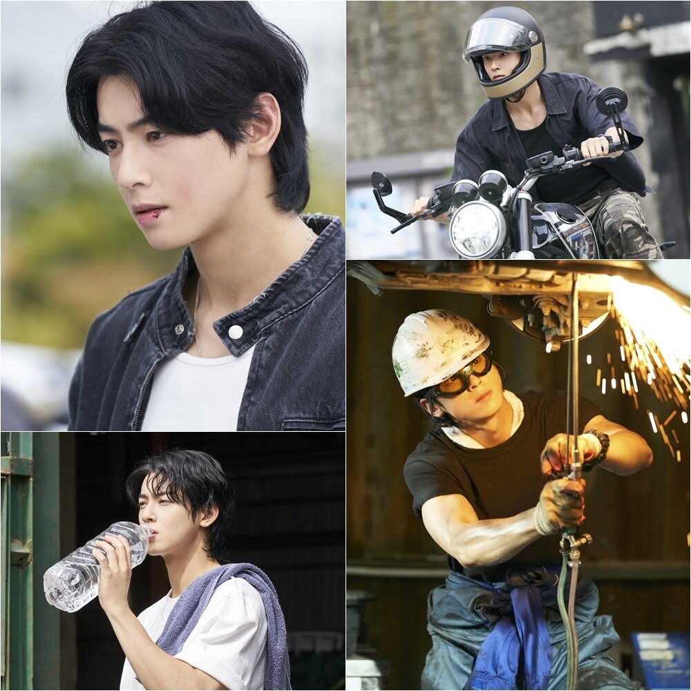 본문 이미지 - MBC 원더풀월드 제공