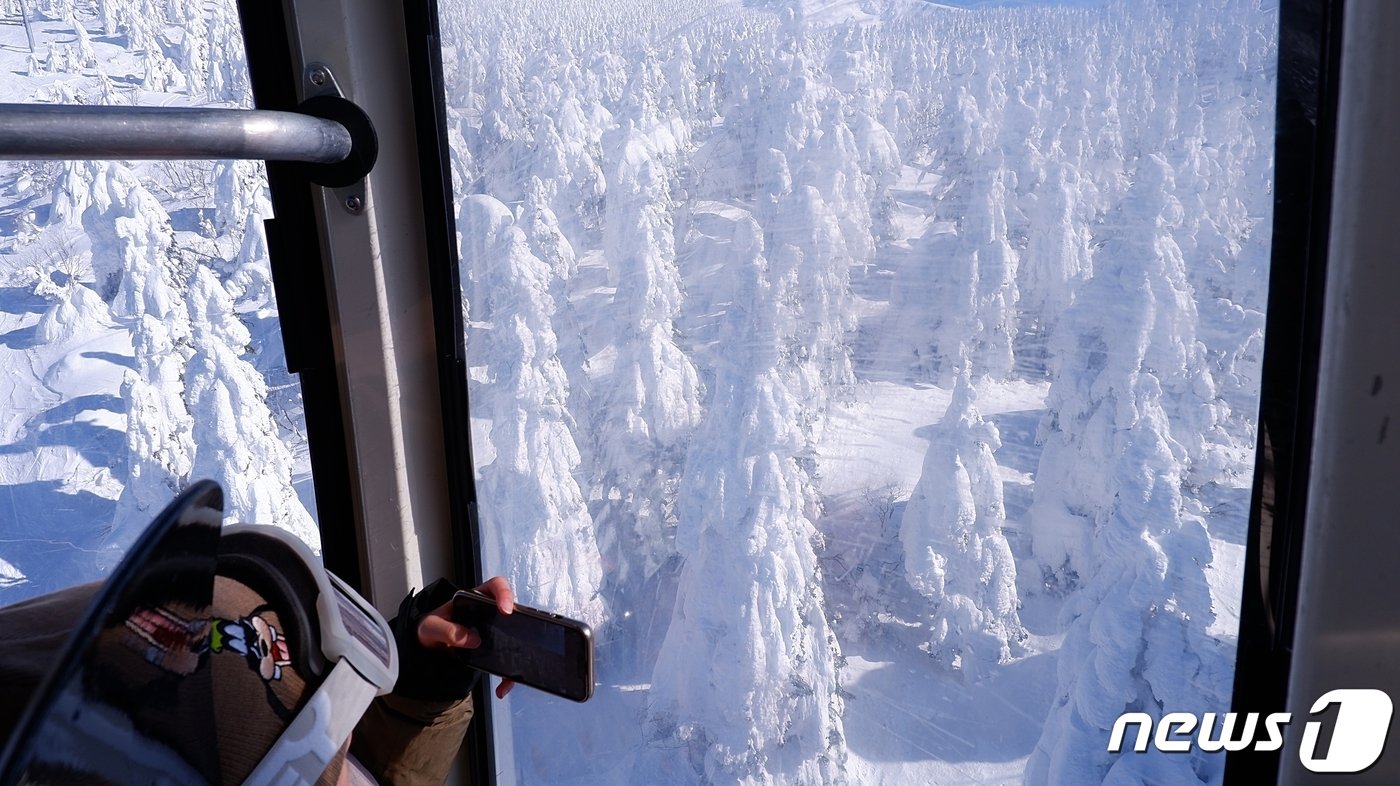 본문 이미지 - 로프웨이를 타며 수천 개의 상고대를 내려다볼 수 있다ⓒ News1  