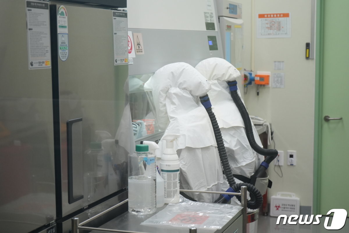 본문 이미지 - 국립감염병연구소 연구자들이 코로나19 백신 접종자들의 검체를 가지고 중화항체 실험을 하기 위해 전동식호흡 보호구(PAPR) 를 착용하고 실험실에서 연구를 진행하고 있다. /ⓒ News1