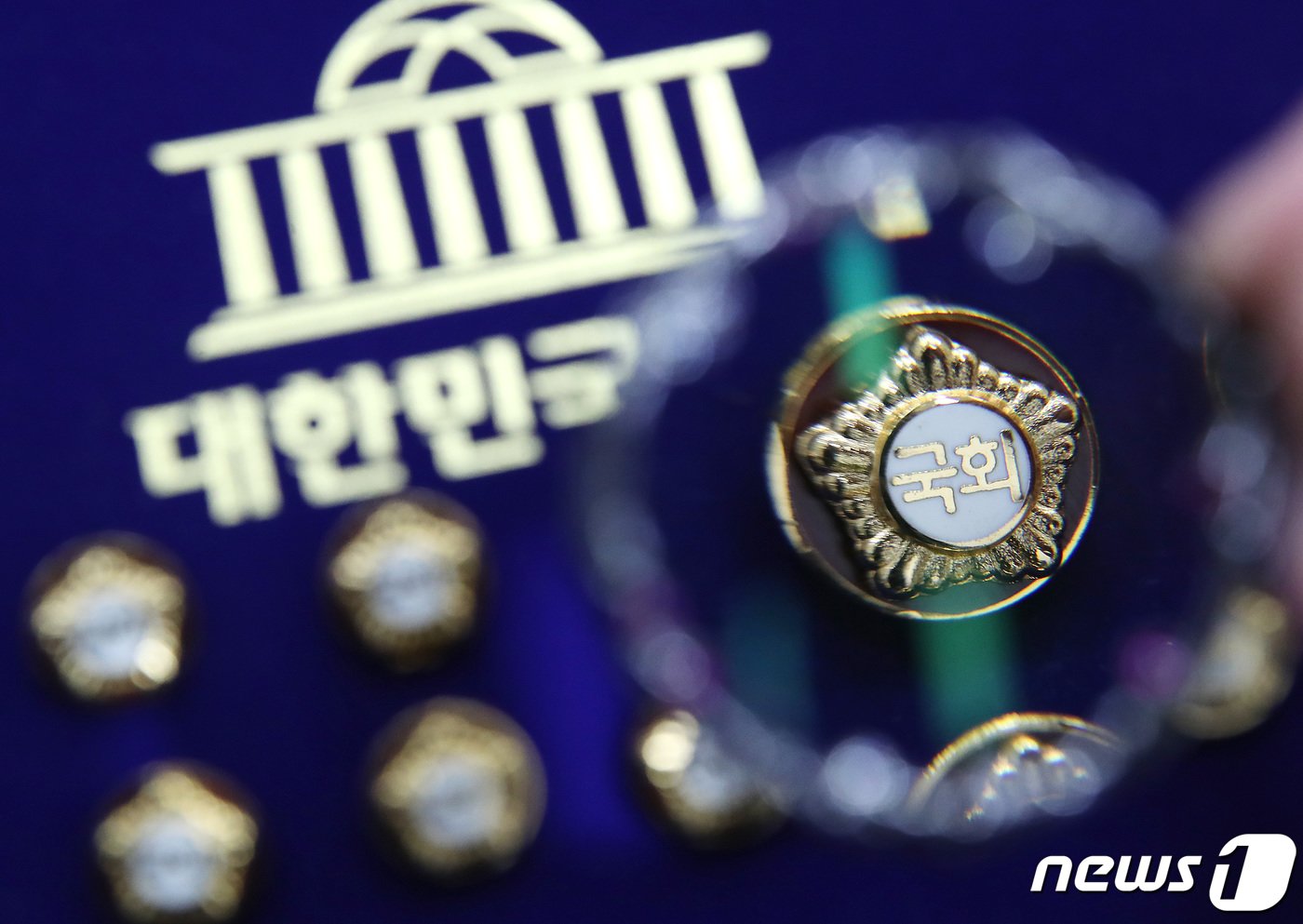 본문 이미지 - 국회의원 배지. 뉴스1 ⓒ News1 자료 사진